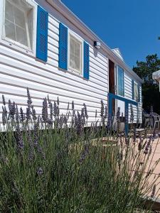 a house with blue shutters and purple flowers in front of it at Mobil home 6 personnes climatisation Sainte Croix du Verdon - Gorges du Verdon in Sainte-Croix-de-Verdon