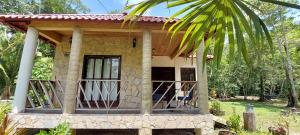 Tu Casa en la Selva Lacandona في Champa: منزل صغير مع شرفة ونخلة