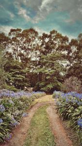 a dirt road in a garden with blue flowers at Posada del Viento in Tandil