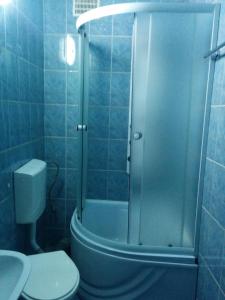 a bathroom with a shower and a toilet and a sink at Pensiunea Casa Raul in Cluj-Napoca