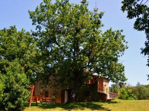 A garden outside Il Venaio