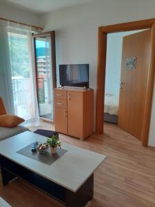 a living room with a coffee table and a tv at APARTMAN LALA in Foča