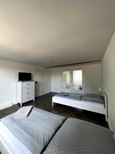 a bedroom with two beds and a television in it at Moderne Ferienwohnung mit Terrasse in Guxhagen