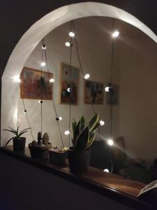 ein Regal mit Topfpflanzen vor einem Spiegel in der Unterkunft Border House in Fiesole