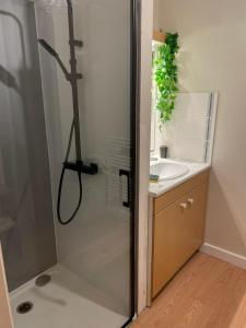prysznic ze szklanymi drzwiami obok umywalki w obiekcie Charmant appartement la Roche sur Yon w mieście La Roche-sur-Yon
