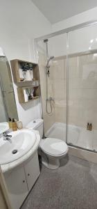 a bathroom with a toilet and a sink and a shower at Villa Duchatel Appt 2/4 pers in Le Mont-Dore