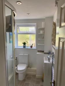 a bathroom with a toilet and a window at Light airy comfy small double room with en-suite in Falmouth