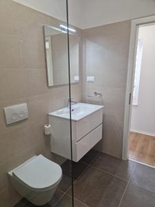 a bathroom with a toilet and a sink and a mirror at Apartman Anka in Komin