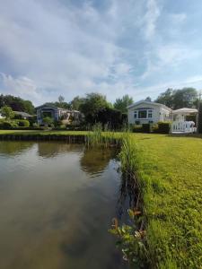 a small pond in a yard with houses in the background at Zonnig chalet aan mooie visvijver in Voorthuizen