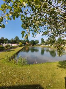 uma vista para um lago num parque em Zonnig chalet aan mooie visvijver em Voorthuizen