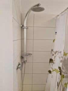 a shower with a shower head and a shower curtain at Sson Rentals in Detmold