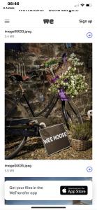 uma bicicleta está estacionada ao lado de uma planta em Wee Hoose-Private-Hottub -Romantic Break-Portaferry 