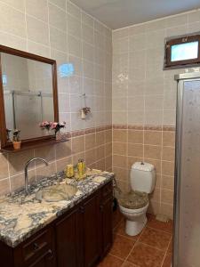 bagno con servizi igienici, lavandino e specchio di Dağ Evi/yeşilli içinde kır evi a Trabzon