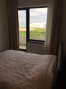una camera con letto e finestra di MaXx Aparts Summerland SunWaves a Mamaia