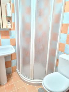 a shower in a bathroom with a toilet and a sink at Apartamento 3 dormitorios Malaga (Teatinos) in Málaga