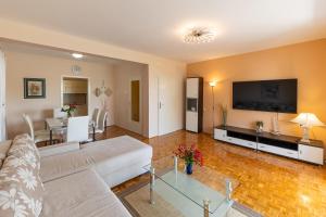 TV a/nebo společenská místnost v ubytování Apartments Nada
