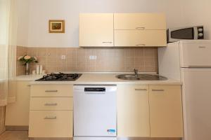 Kuchyň nebo kuchyňský kout v ubytování Apartments Nada