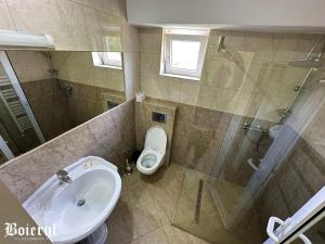 a bathroom with a toilet and a sink and a shower at Boierul la Florenta in Dej