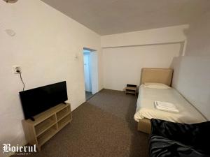 um pequeno quarto com uma cama e uma televisão de ecrã plano em Boierul la Florenta em Dej
