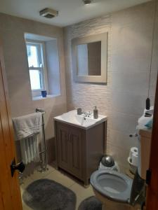 ein Badezimmer mit Waschbecken und Toilette in der Unterkunft Moira Cottages at Berwickhall Sleeps 8 in Moira + 27 Fotos