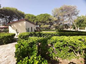a garden with green bushes in front of a building at Yannis Villa in Katarrákhion