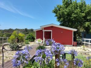 ein roter Schuppen mit lila Blumen davor in der Unterkunft Sintra Escape in Sintra