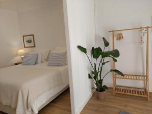 a bedroom with a bed and a potted plant at Estúdio Lagoa Azul in Vila Nova de Milfontes