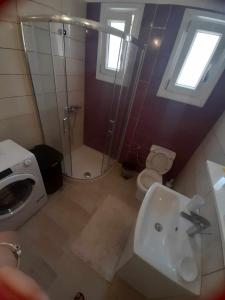 uma casa de banho com um chuveiro, um lavatório e um WC. em Apricot garden em Kynopiástai