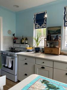 eine Küche mit blauen Wänden und einem Herd in der Unterkunft House on the Gwynns Falls in Baltimore