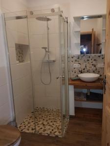 uma cabina de duche na casa de banho com um lavatório em Romantisches Rosencottage em Hofheim in Unterfranken