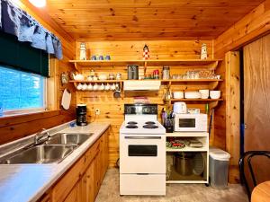 a kitchen with a stove and a sink in a cabin at Stargazers Cove Cottages Otter in Middleton +5 photos