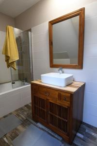 a bathroom with a sink and a mirror and a shower at Auprès de mon arbre in Pontmain