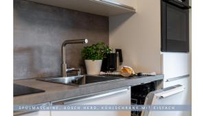 a kitchen with a sink and a plant on the counter at Apartment Leinetal - 3 Zi 70 qm ,Küche, Duschbad, Parkplatz in Northeim