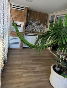 una cocina con una planta en una habitación en Apto praia pontal, vista mar en Río de Janeiro