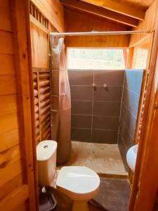 mała łazienka z toaletą i prysznicem w obiekcie La madriguera de Guatavita w mieście Guatavita