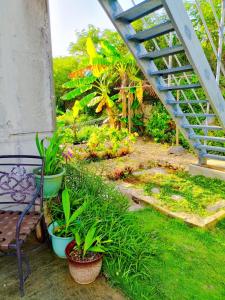 a garden with plants in pots and a bench at 海之恋 in Arazato