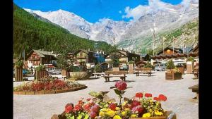 a town with a bunch of flowers and mountains at Im Spiss in Macugnaga