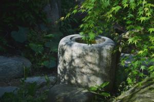 Foto dalla galleria di 野窓 Nomadノマド Tsuwano GuestHouse & Cafe Lounge a Tsuwano