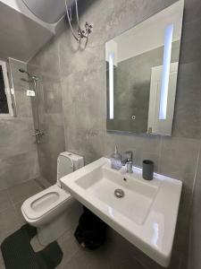 La salle de bains est pourvue d'un lavabo, de toilettes et d'un miroir. dans l'établissement Bejart Apartment 4, à Tirana
