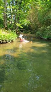 Naturlandskabet i nærheden af landstedet