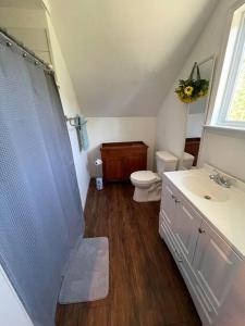 a bathroom with a shower and a toilet and a sink at Eden Farm: Private Studio Minutes from Salisbury in Eden
