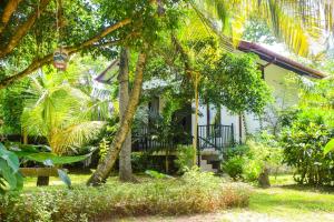 a house in the middle of a garden with trees at Groot in Hikkaduwa