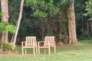 The Glade, peace among the trees on the river外面的花园