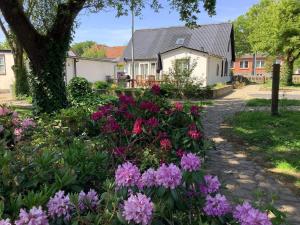 Holiday home Thisted LVII في ثيستد: حديقة بها زهور أرجوانية أمام المنزل