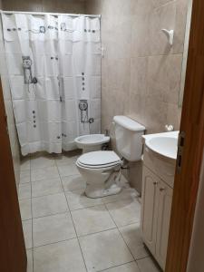 a bathroom with a toilet and a sink at Departamento amplio y luminoso in Esquel