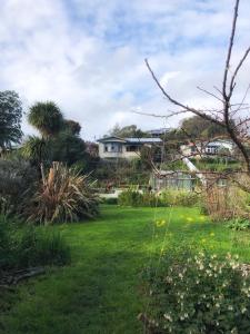 a yard with a house in the background at 1920s Stay in Whanganui in Whanganui