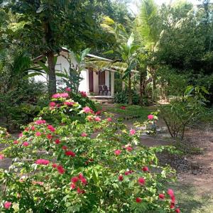 Κήπος έξω από το Sanjana Home Stay