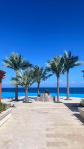 a row of palm trees on a beach with the ocean at DesSea Island-Sosua Ocean Village in Sosúa