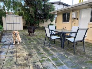 Domácí mazlíčci ubytovaní s hosty v ubytování Wrentree - Pet Friendly Inside 26B Laurel Tce
