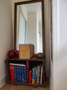 a book shelf with books and a mirror at Au trente-neuf in Nevers